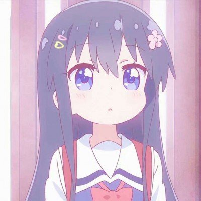 被大学生帮助到绝望的猫